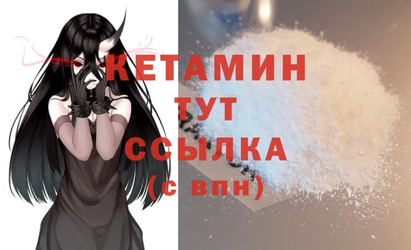 шишки Вяземский