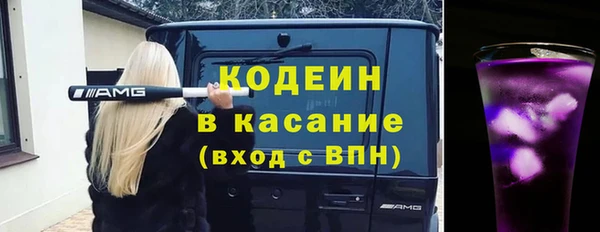 шишки Вяземский