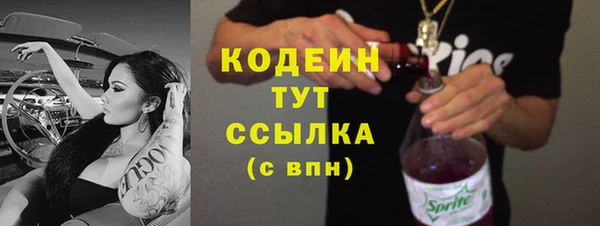 шишки Вяземский