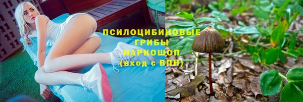 шишки Вяземский