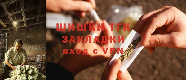шишки Вяземский