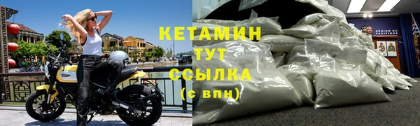 шишки Вяземский