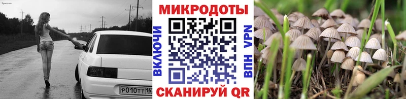 где можно купить наркотик  Казань  Галлюциногенные грибы Cubensis 